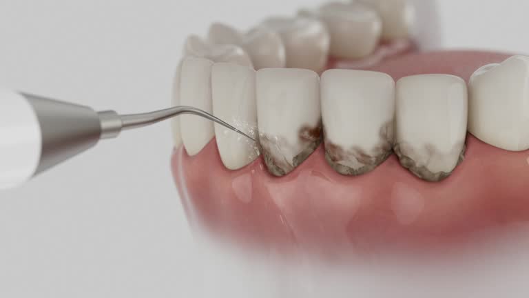 Reliable Dental contractor in Jackson Parish County, LA by Dentist Open Now